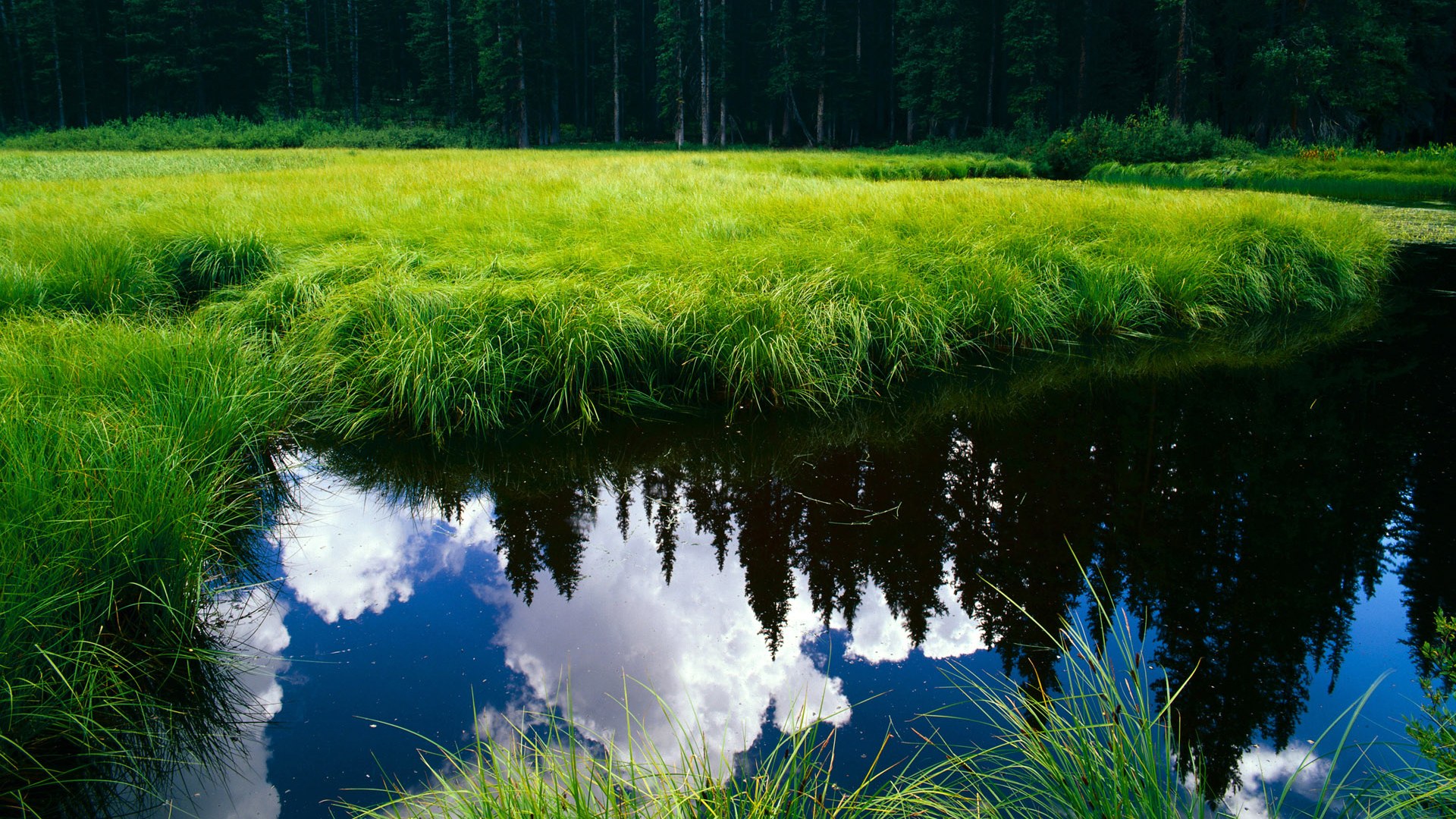 意甲焦点战之夜，小贾伦化身大场面先生，引领胜利狂潮