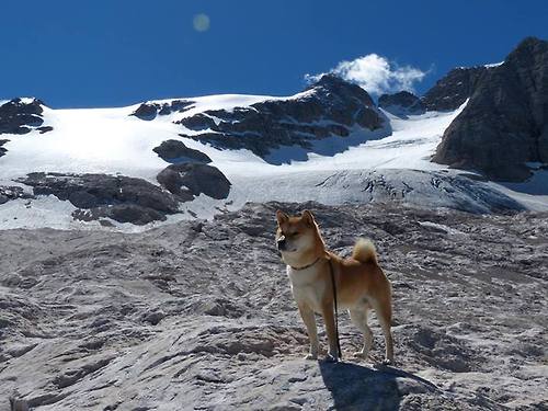 独行侠一波流击溃鹈鹕，米切尔关键时刻连砍12分定乾坤