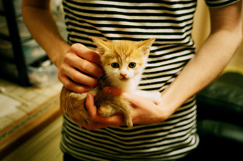 篮球智慧点亮绿茵场，雄鹿式胜利背后的欧冠哲学