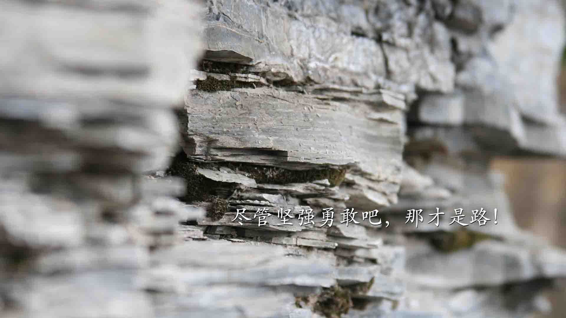 pg电子官网-铁卫的怒吼与红狼的救赎，当富安健洋的沉默爆发撞上罗马的绝境冲锋