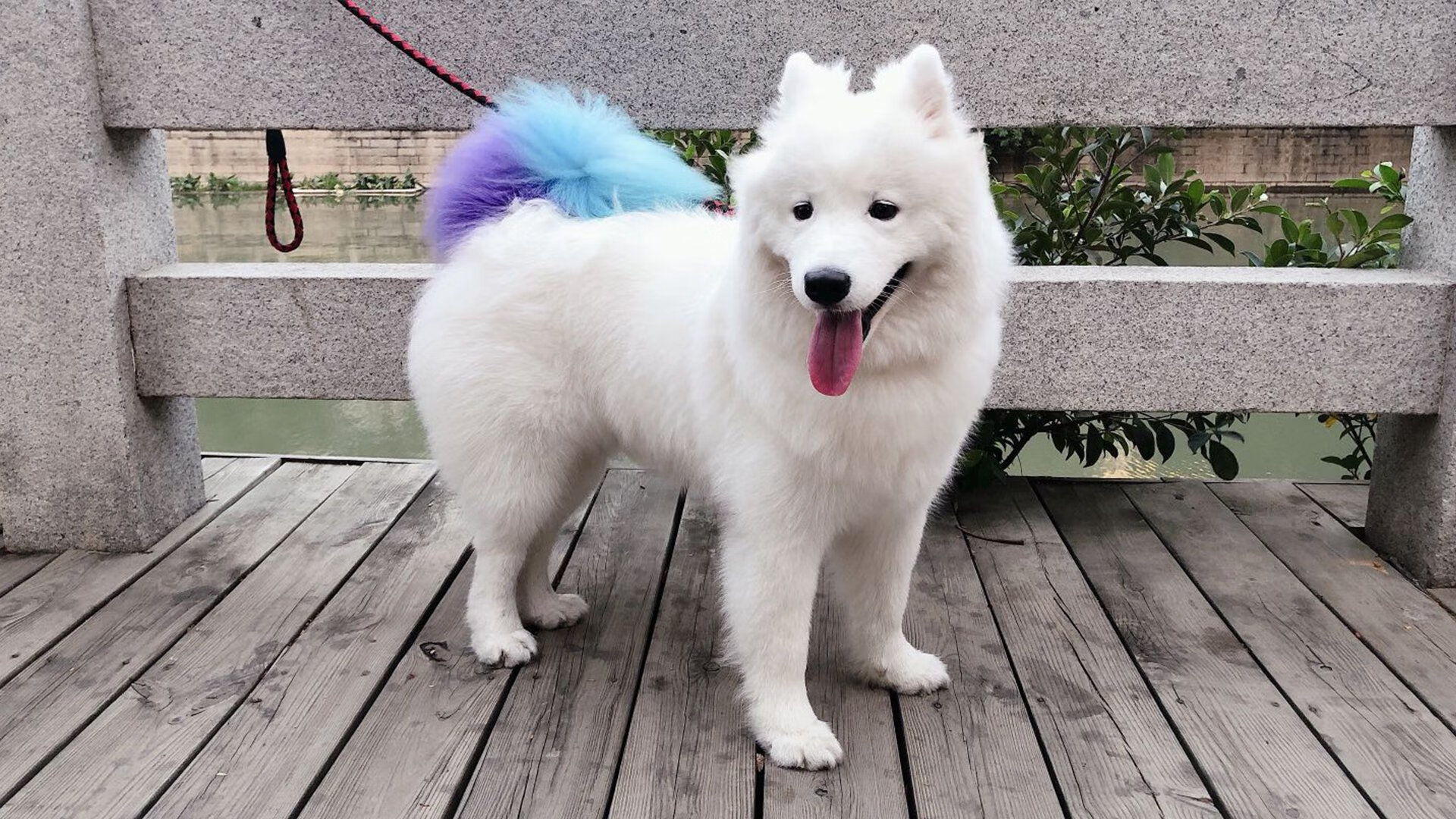 pg电子试玩-黄黑奇迹与冠军之心，当足球逆转与篮球绝杀在命运线上共振