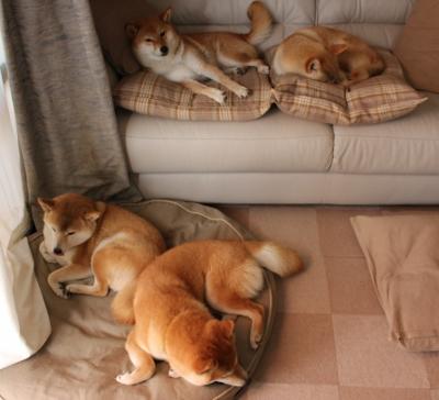 pg电子游戏-绿茵场没有金字塔，一场意甲焦点战里的美埃百年风云