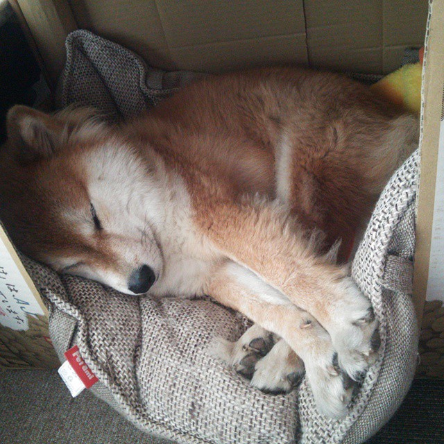 英超争冠焦点战，公牛战术压制火箭，防守至上的胜利