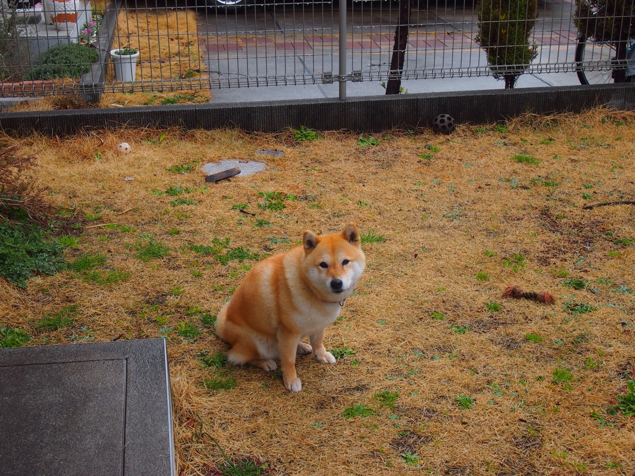 跨越东西的赛场传奇，广东压倒吉林，克莱生死战封神