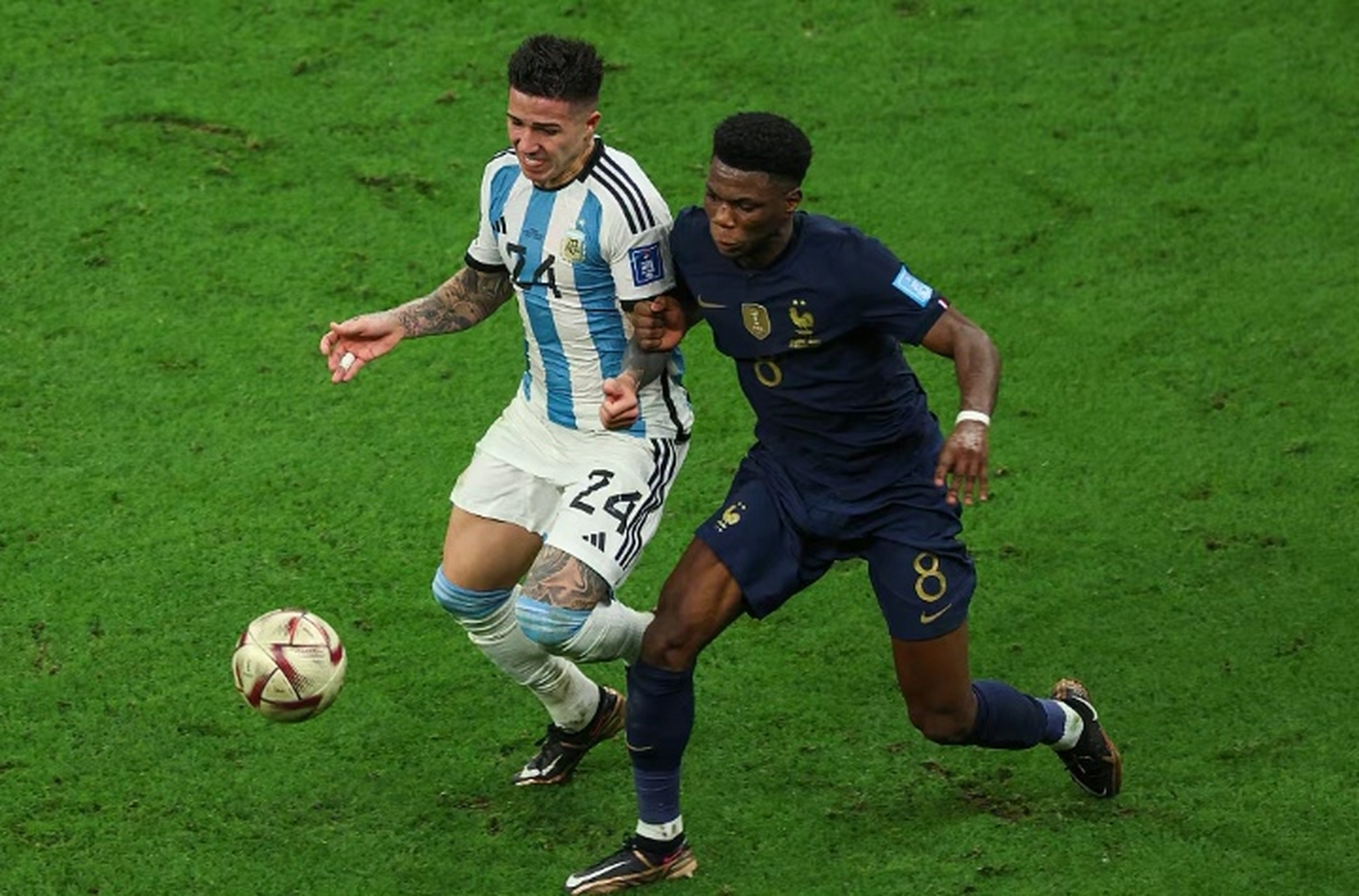 巴西对阵葡萄牙，恩佐持续制造杀伤