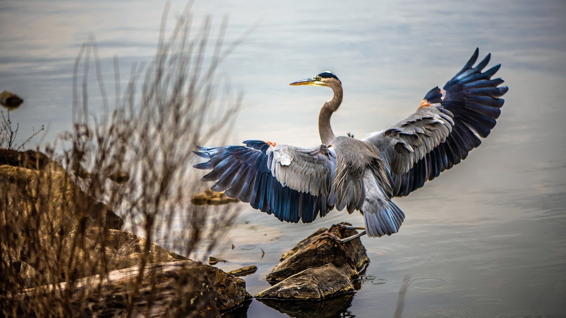 野兽军团与独角兽,从灰熊的团队绞杀到文班亚马的个人接管
