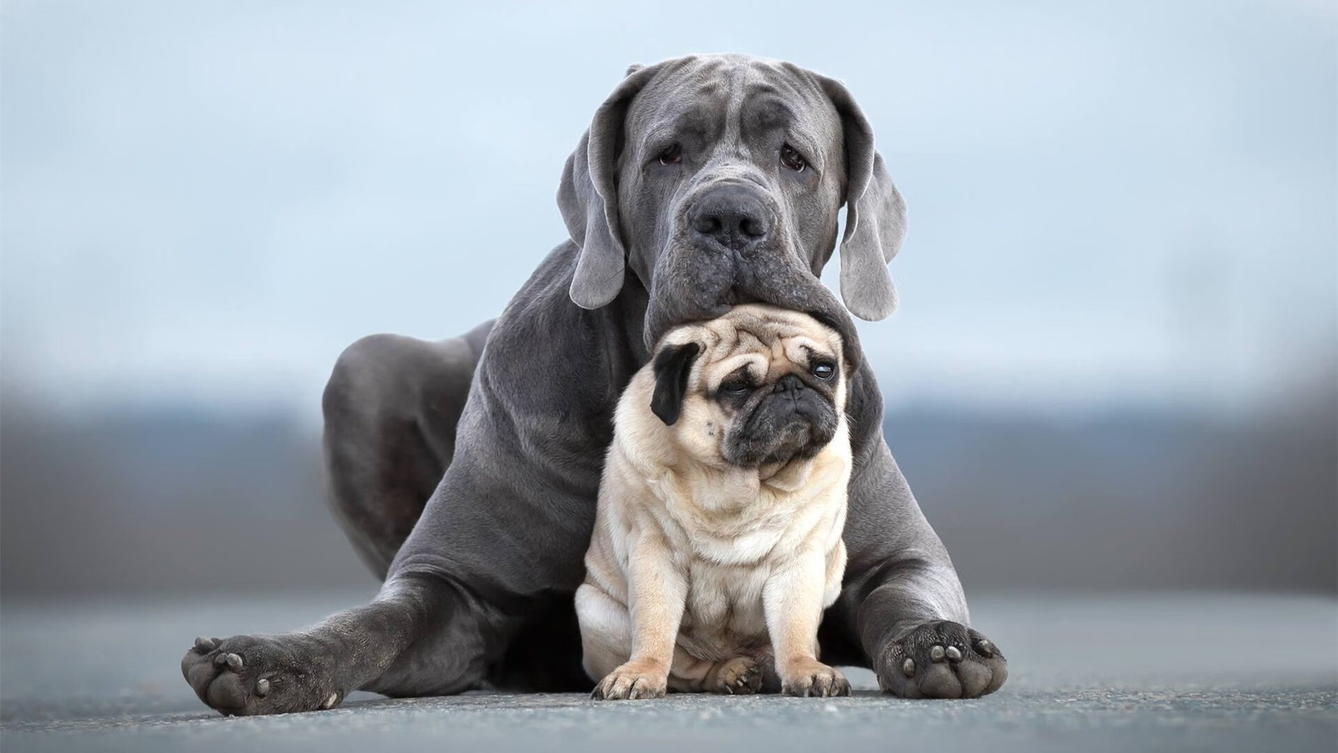 pg电子-F1街道赛之夜，戈贝尔点燃赛场
