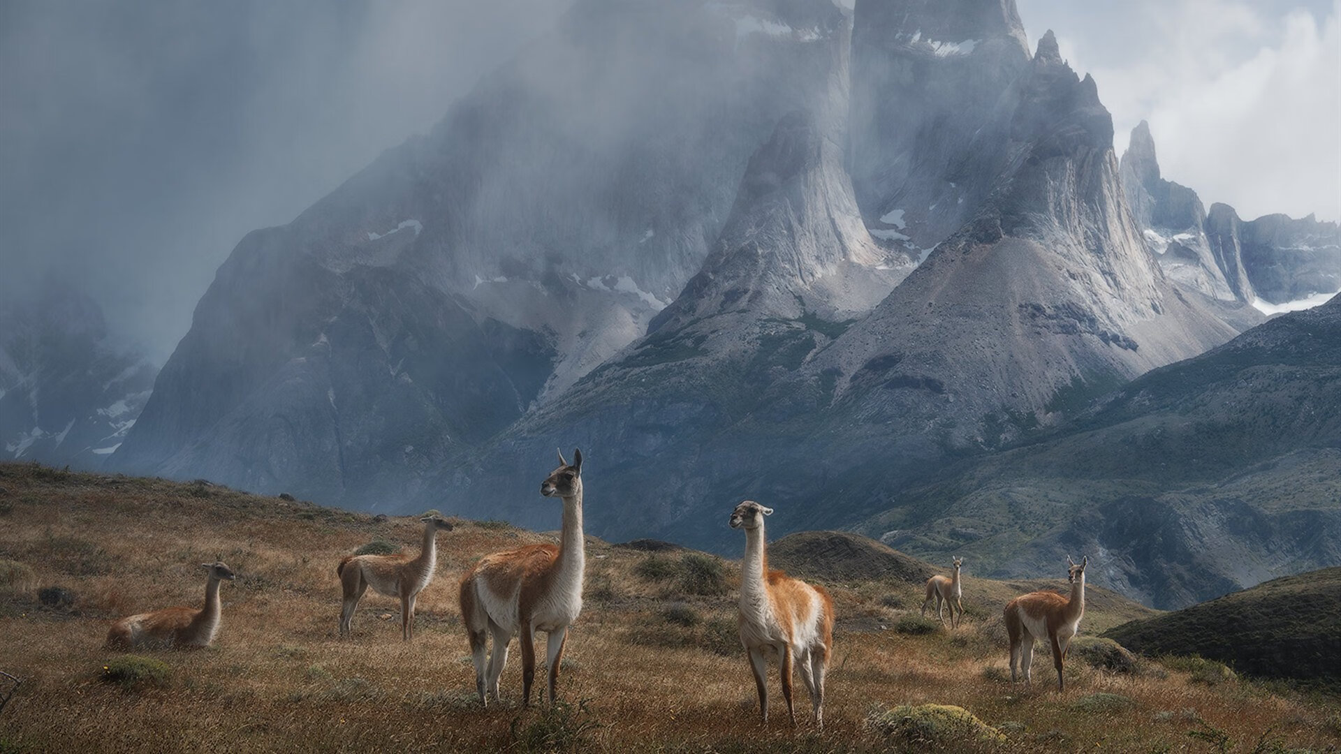 pg电子官网-剑锋出鞘，杰伦·格林进攻端无人可挡，勇士主场力克猛龙