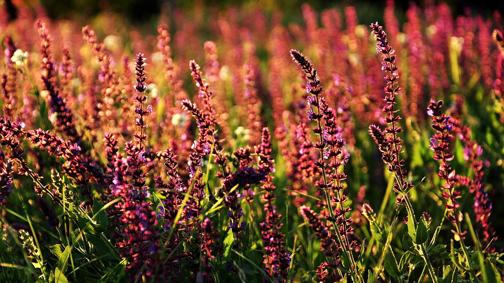 逆转与接管，篮球赛场上的传奇篇章