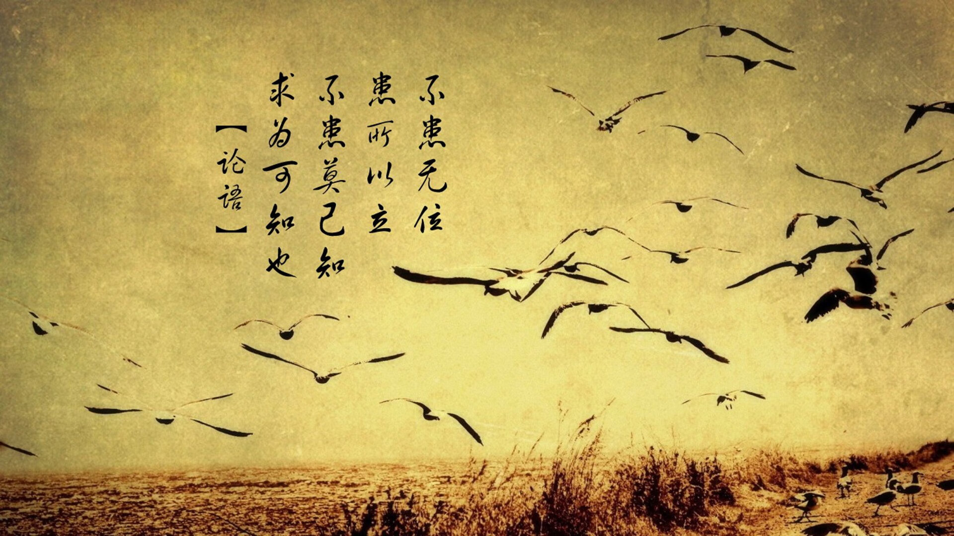 法国风暴席卷美利坚，阿坎吉的跨洋征服与篮球新秩序的诞生