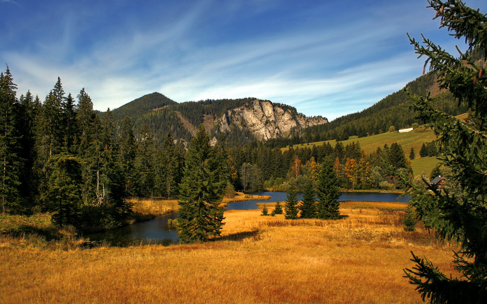 南美闪电撕裂法兰西之夜，委内瑞拉压哨绝杀，抢七鏖战气吞马赛