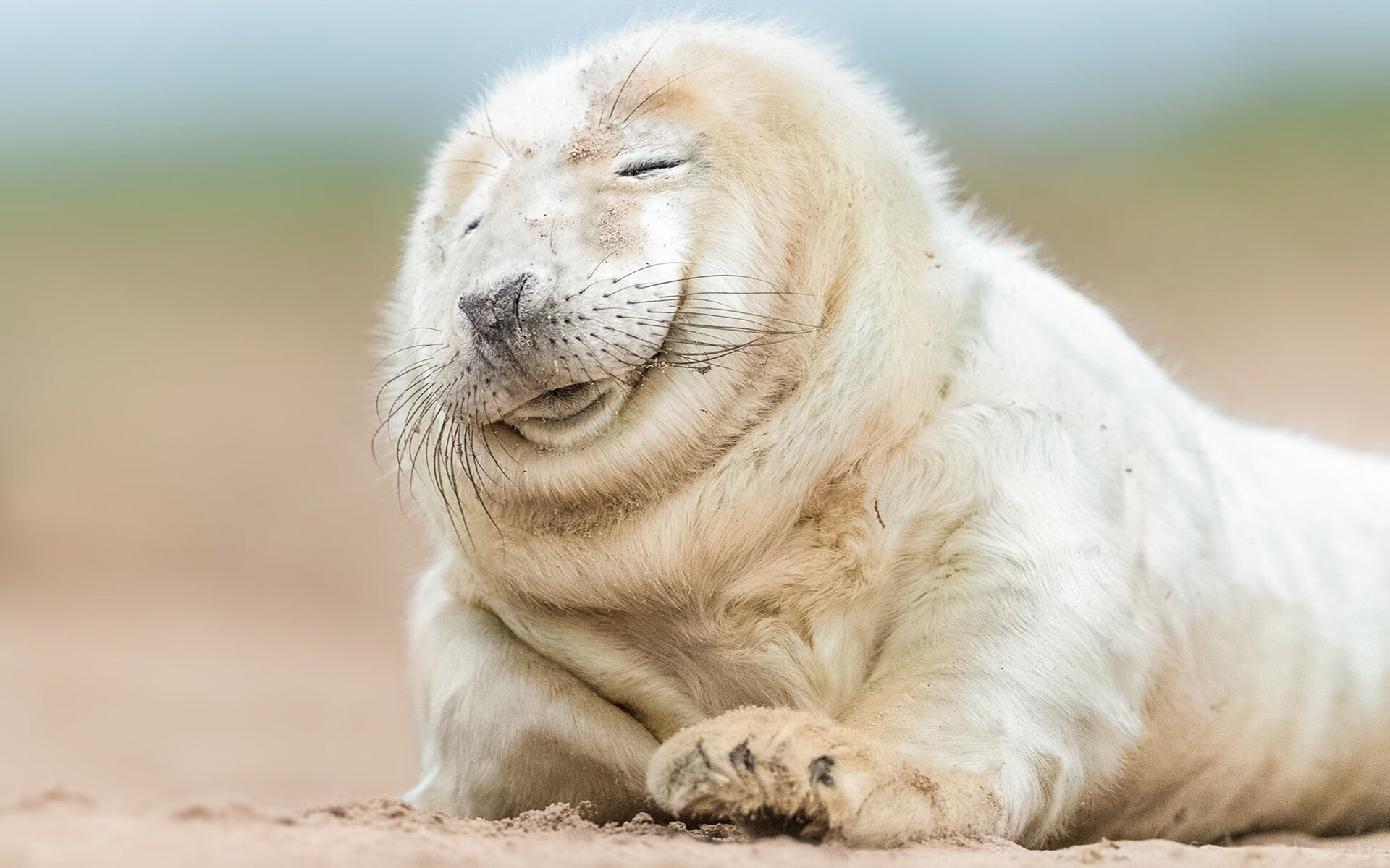 希腊问鼎,伊萨克统治街道,当纪律与天赋奏响体育双重奏