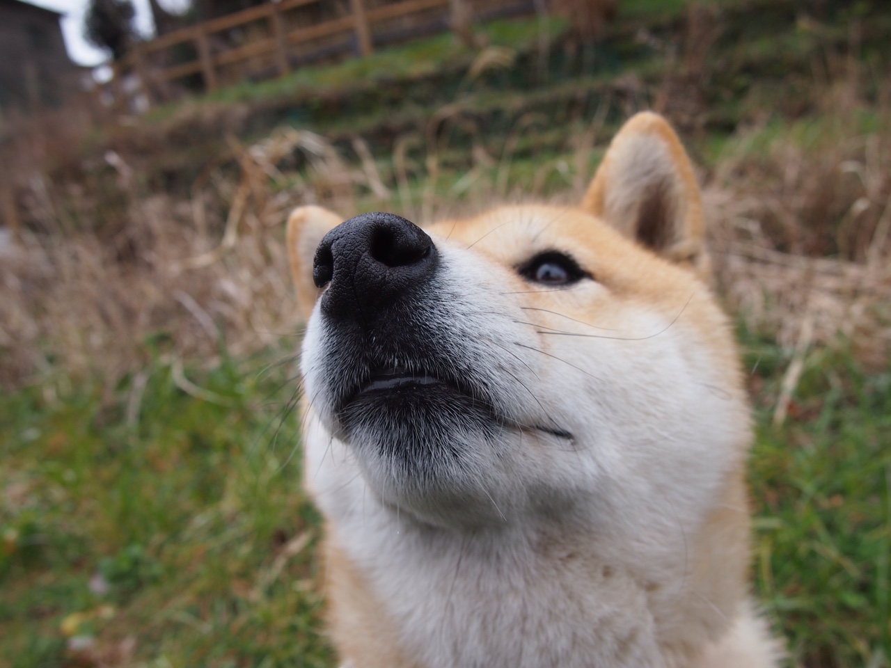 东决夜，内马尔时刻，当足球巨星的关键回合哲学照亮篮球殿堂
