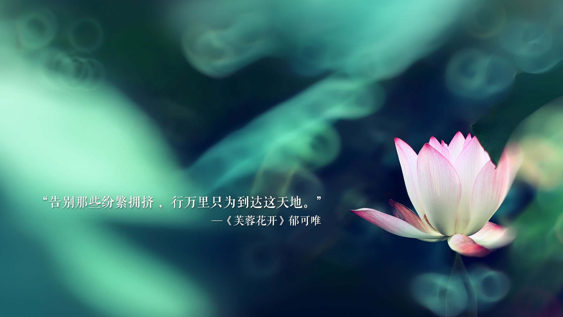魔幻之夜，2026世界杯D组焦点战，韩国逆转摩洛哥，维尼修斯主导比赛